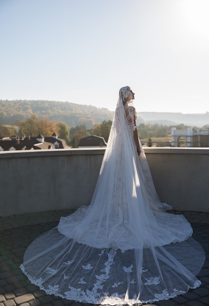 Фото V2-82129SB/WD011-105S RU 892 - 1