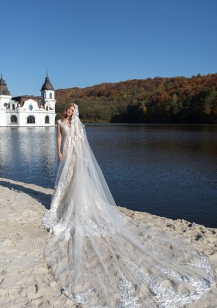 Picture V2-WD11-31S EN 897 - 1