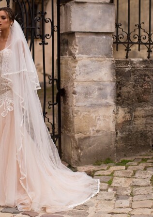 Picture V-4T1466FB EN 916 - 1