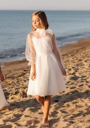 Picture Dream flight EN 954 - 1