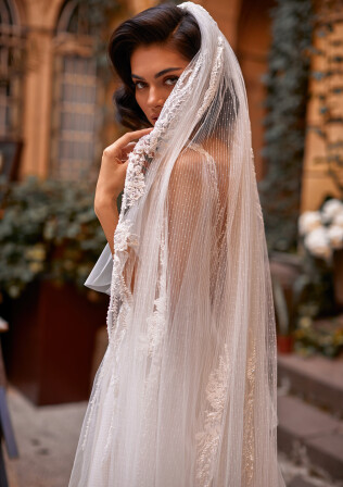 Picture Veil V-7-DN17110001-SBL123517-2SUB EN 971 - 1