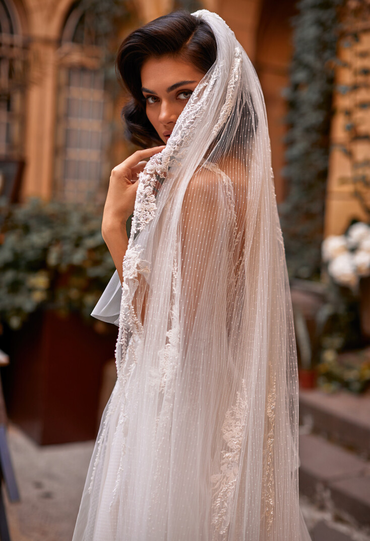 Picture Veil V-7-DN17110001-SBL123517-2SUB EN 971 - 1