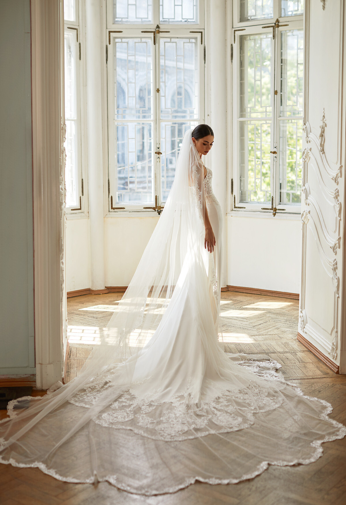 Picture Veil V-6-2034-AM13817 EN 982 - 1