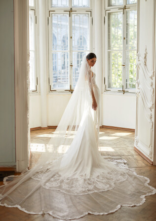 Picture Veil V-6-2034-AM13817 EN 982 - 1