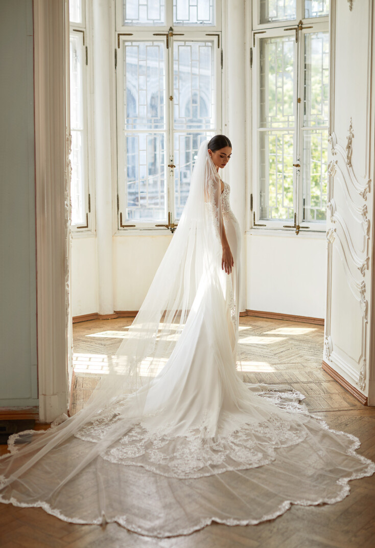 Picture Veil V-6-2034-AM13817 EN 982 - 1