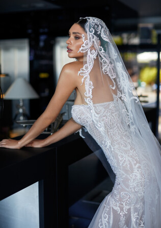 Picture Veil V-1-2034-WD11-246S EN 1007 - 1