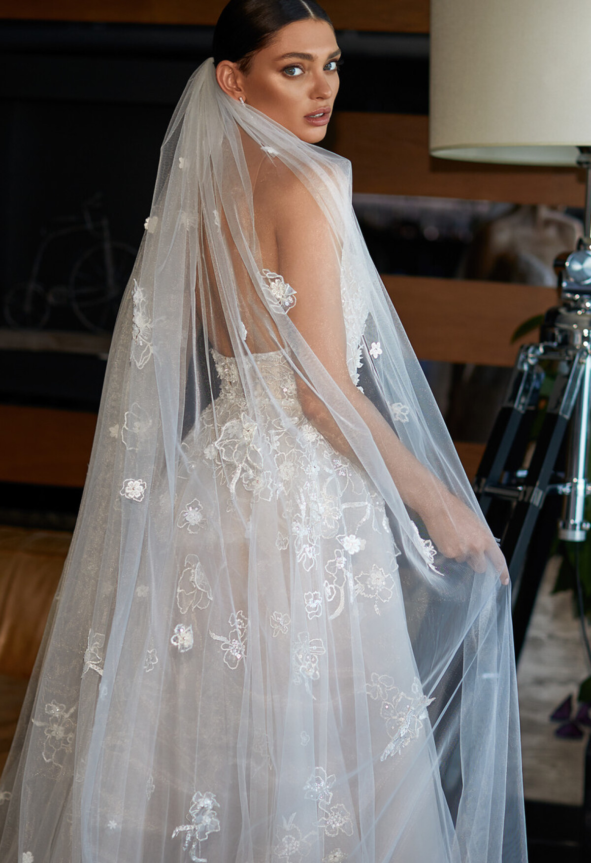 Picture Veil V5-2034-H-WD11-326S EN 1011 - 1