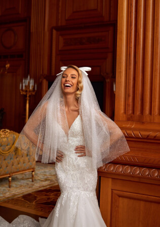 Picture Veil EN 1073 - 1