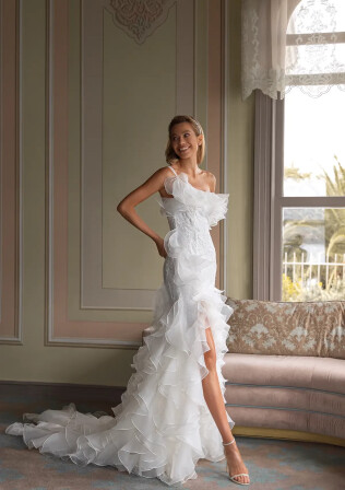 Imagen PALOMA ES 1142 - 1