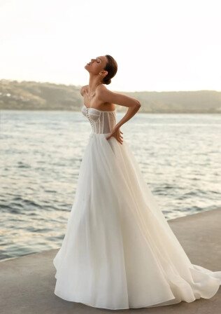 Фото Placatia RU 1230 - 1