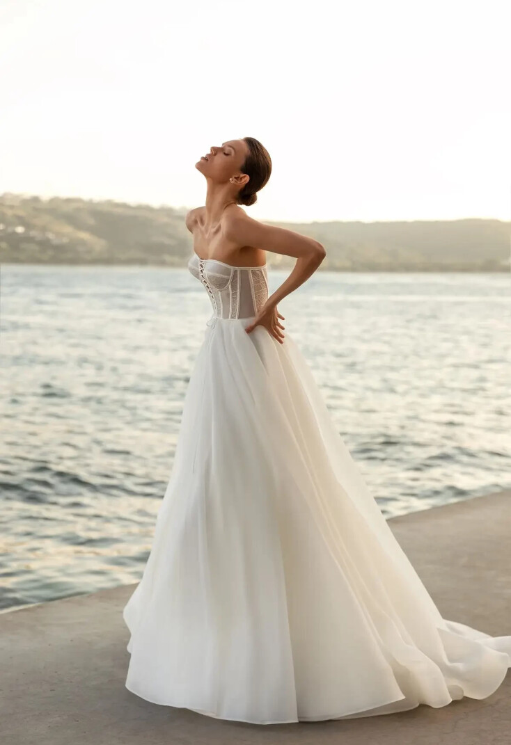 Фотографія Placatia UK 1230 - 1