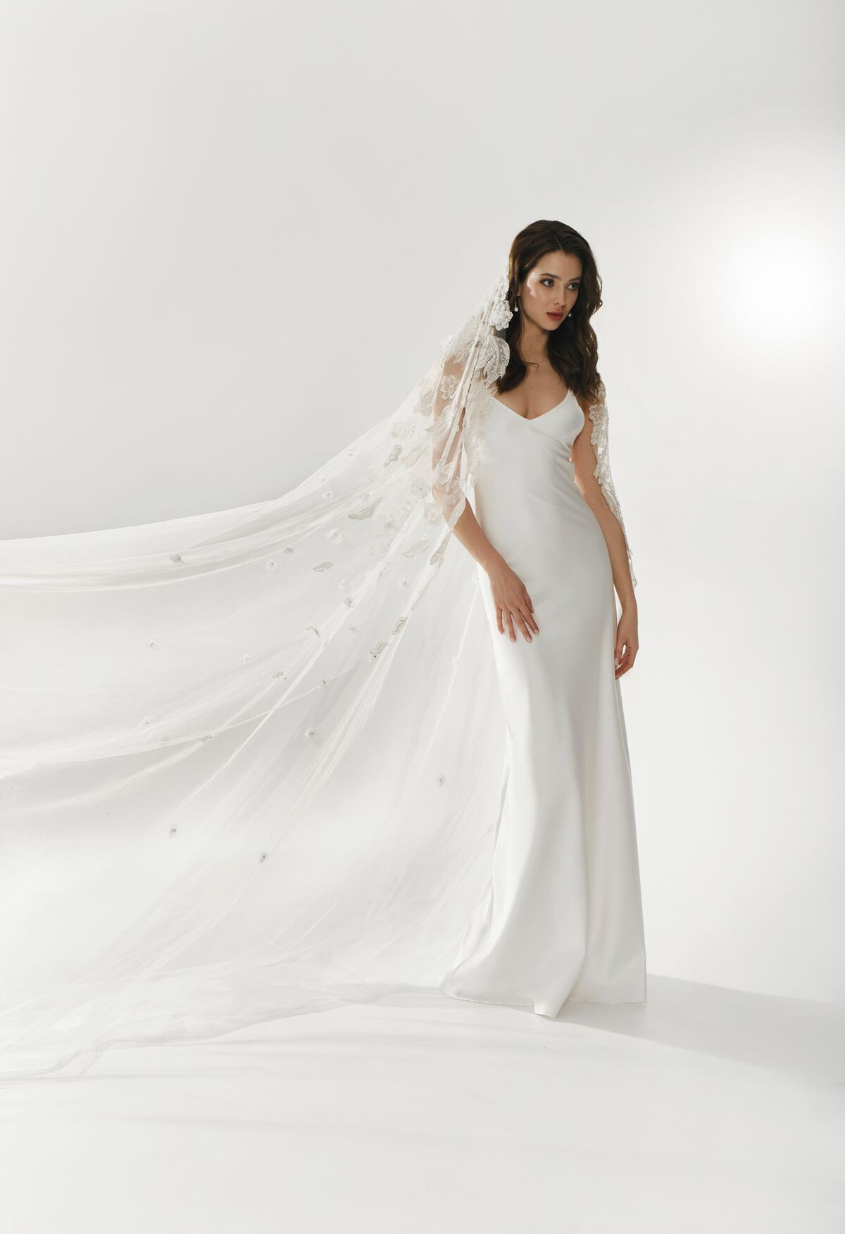 Picture Veil EN 1276 - 1