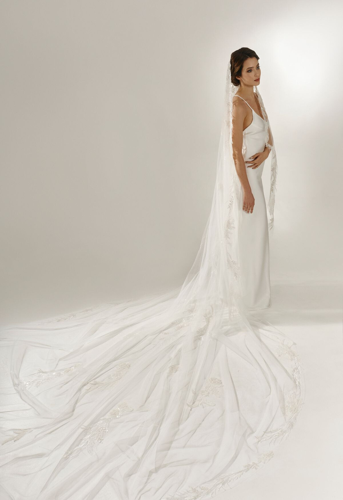 Picture Veil EN 1278 - 1