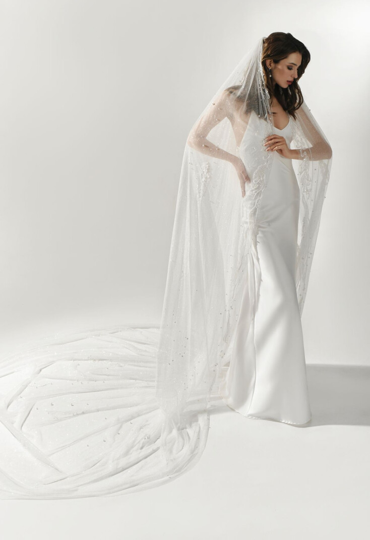 Picture Veil EN 1285 - 1