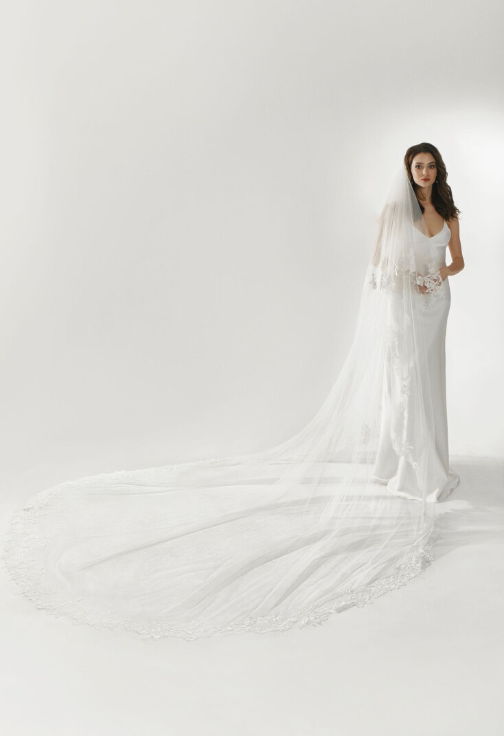 Picture Veil EN 1289 - 1