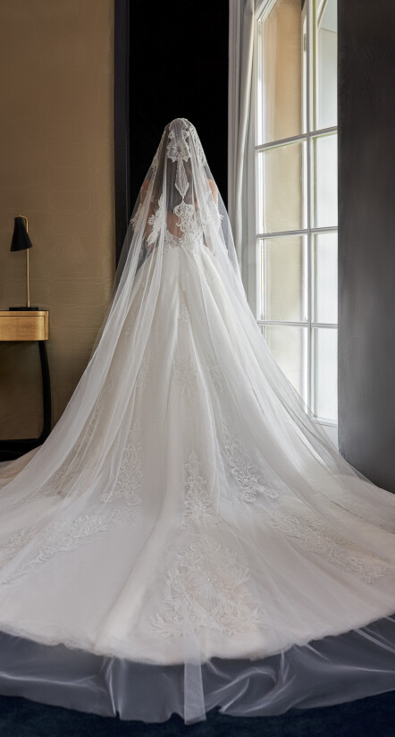 Fotografia Veil PL 1303 - 1