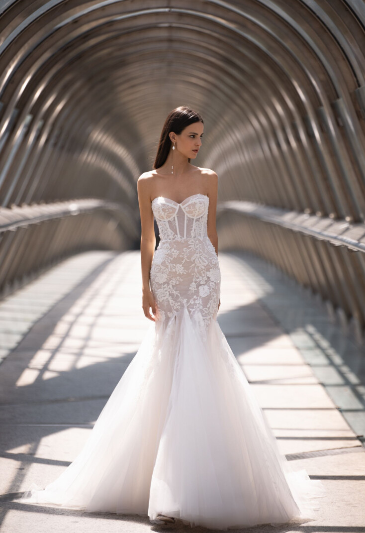 Bild DIOSSA DE 1436 - 1