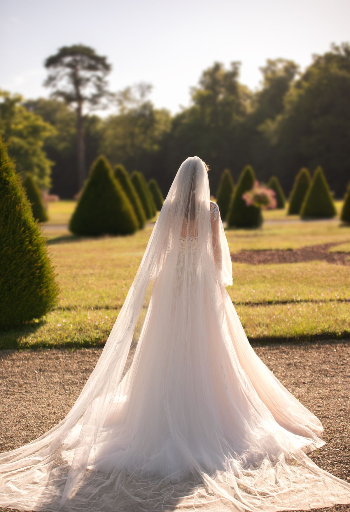 Picture Veil EN 1482 - 1