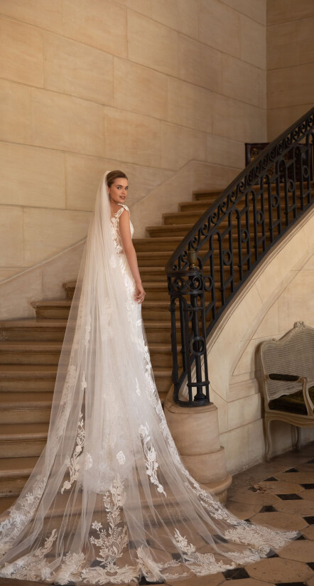 Fotografia Veil PL 1484 - 1