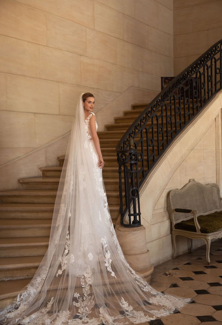 Bild Veil DE 1484 - 1