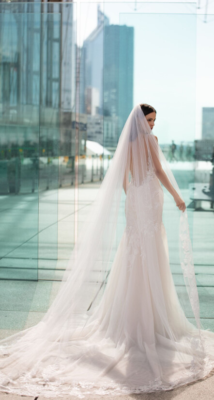 Fotografia Veil PL 1489 - 1