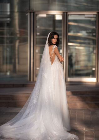 Picture Veil EN 1491 - 1