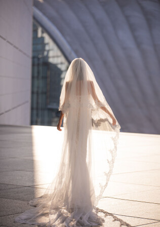 Picture Veil EN 1492 - 1