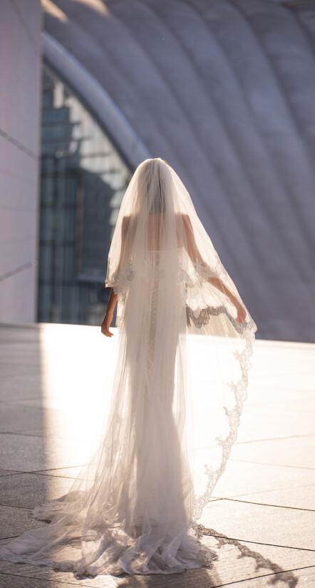 Fotografia Veil PL 1492 - 1