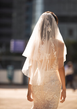 Picture Veil EN 1494 - 1