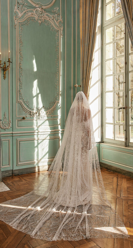 Fotografia Veil PL 1543 - 1