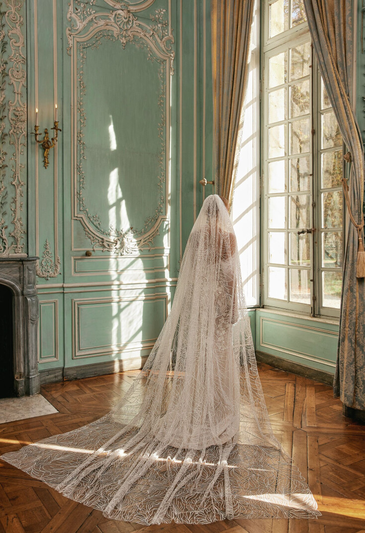 Picture Veil EN 1543 - 1