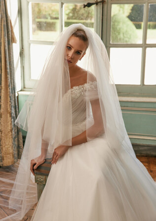 Picture Veil EN 1544 - 1