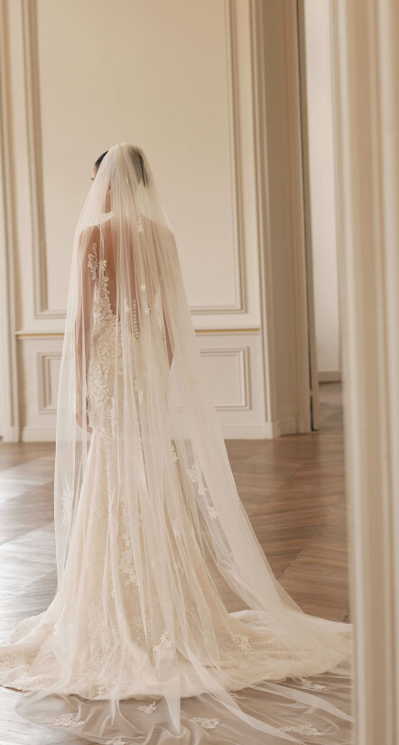 Fotografia Veil PL 1585 - 1