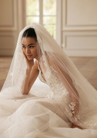 Picture Veil EN 1592 - 1