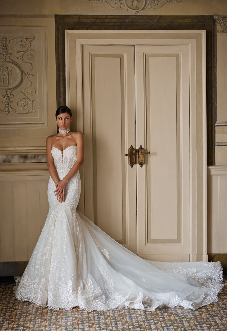 Immagine Ossol IT 1620 - 1