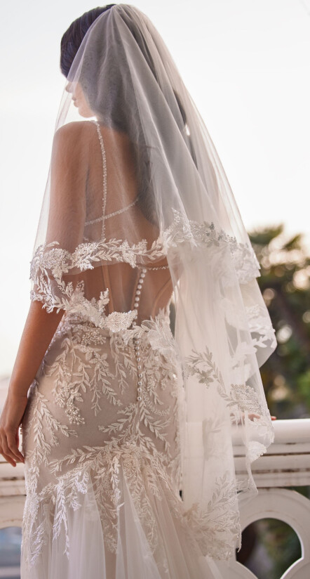 Fotografia Veil PL 1668 - 1