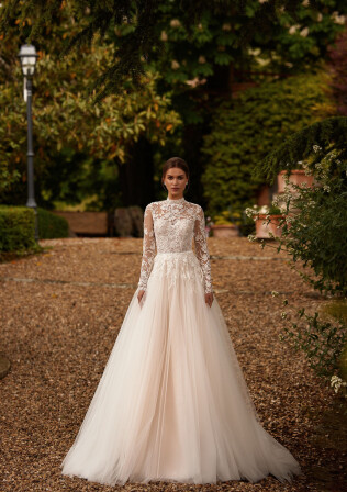 Fotografia Chrysanthemiss PL 1777 - 1