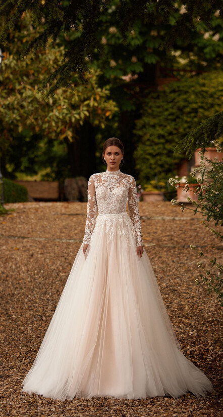 Imagen Chrysanthemiss ES 1777 - 1