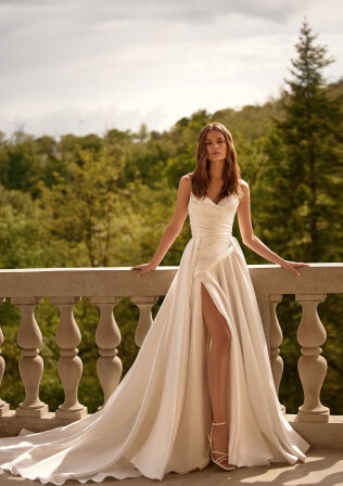 Fotografia Strelitzia PL 1782 - 1