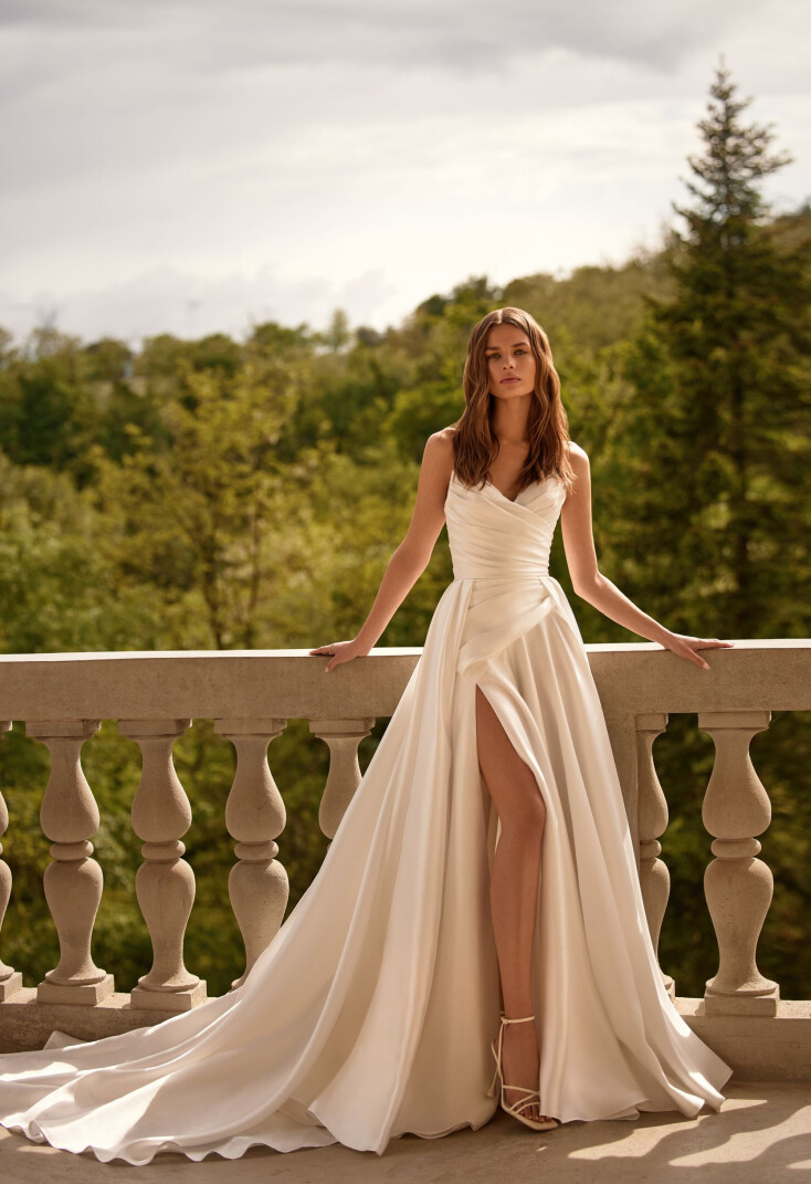 Фото Strelitzia RU 1782 - 1