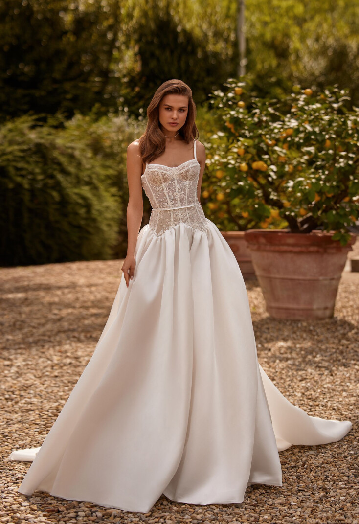 Фото Bromelia RU 1784 - 1