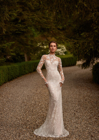 Fotografia Heliconia PL 1785 - 1