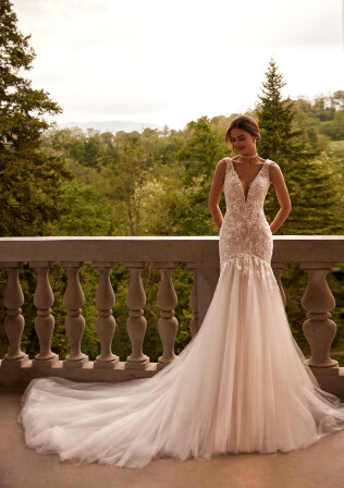 Fotografia Aquilegia kiss PL 1788 - 1