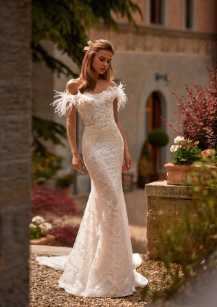 Fotografia Tiarella PL 1790 - 1