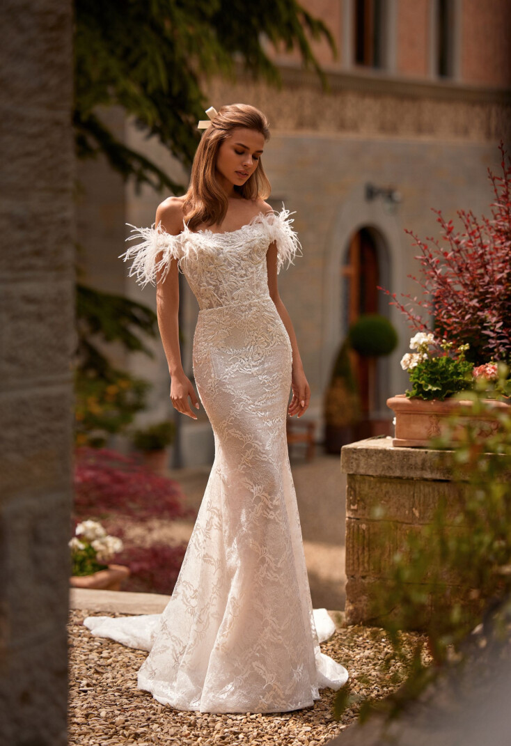 Immagine Tiarella IT 1790 - 1