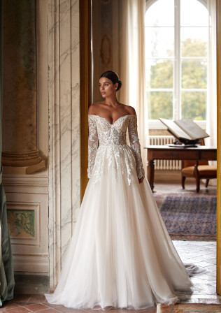 Фото Erregina RU 1824 - 1