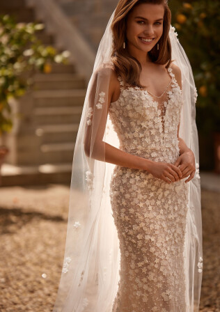 Picture Veil EN 1838 - 1