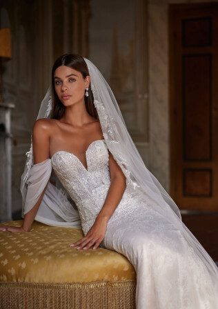 Picture Veil EN 1850 - 1