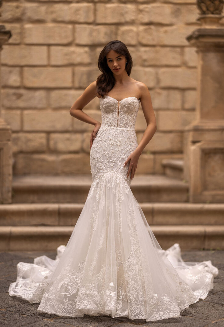 Bild Boudika DE 1865 - 1