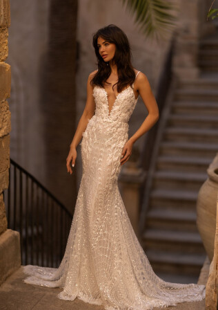 Imagen Reichel ES 1890 - 1